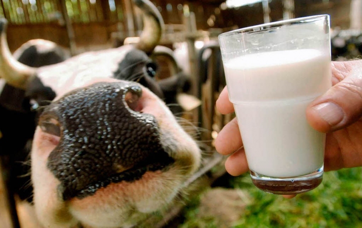 Факторы влияющие на качество молока
